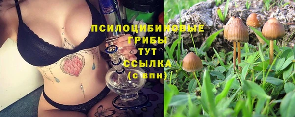 спиды Абдулино